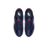 Airmax 90 Blue Phantom